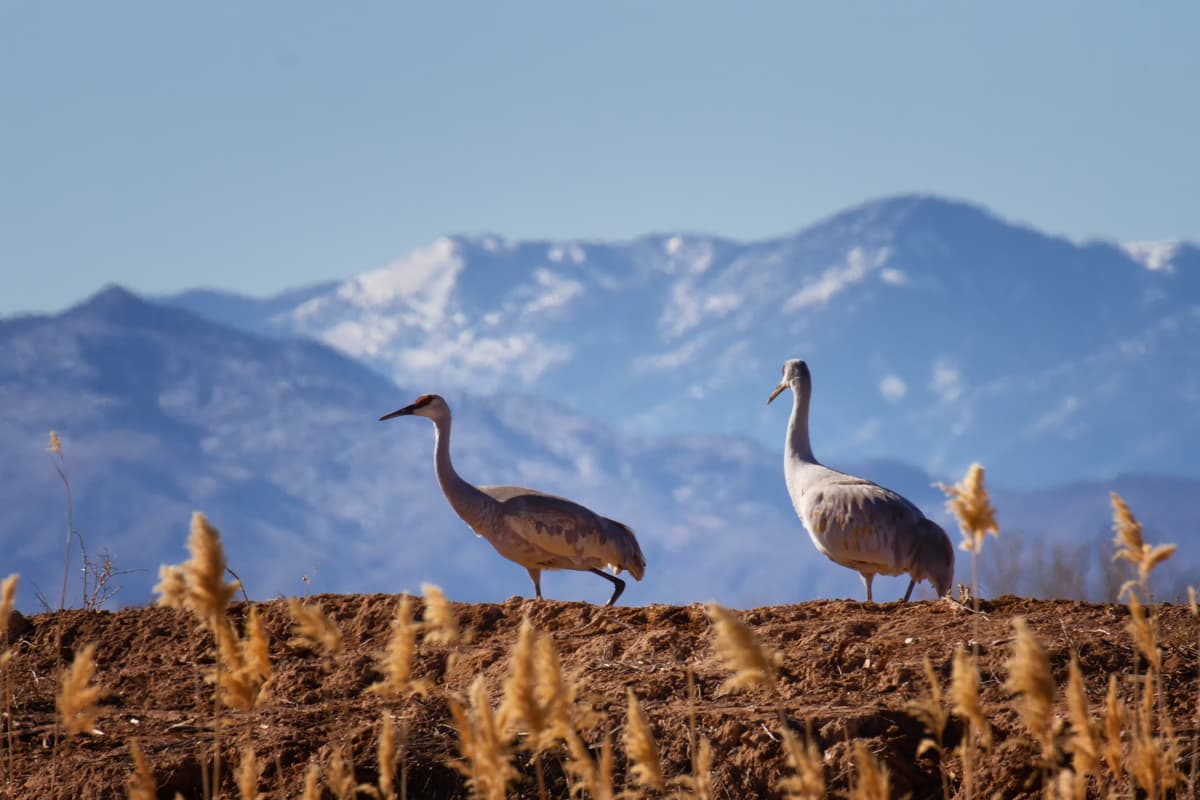 New Mexico Winter Light Workshop