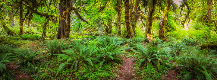 Olympic Peninsula Workshop — gallery