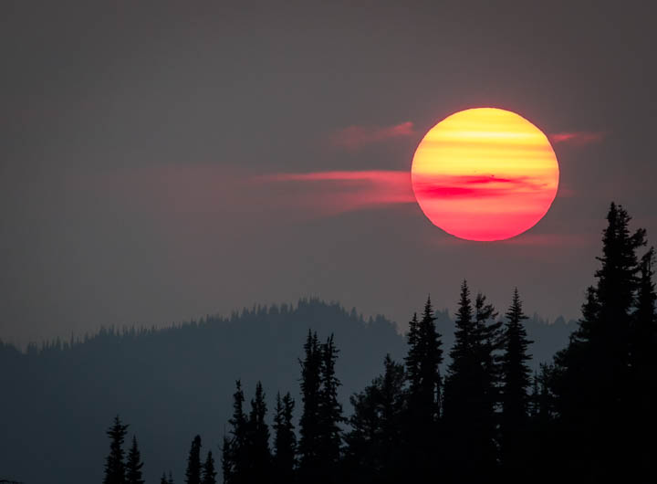 Olympic Peninsula Workshop — gallery